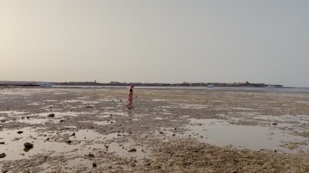 Maré baixa na praia, recife morto, ao pôr-do-sol. homem e menina adolescente em trajes de banho caminham na praia na maré baixa, considere a fauna rara do recife morto. poluição do mar, fauna e fauna desaparecem — Vídeo de Stock