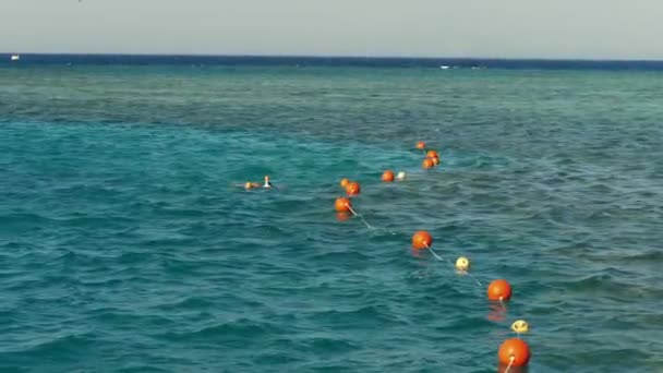 People snorkeling in the sea, swimming, gazing at fish along the coral reef. summer vacation by the sea — Stock Video