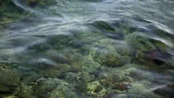 Крупним планом, прозора морська вода ширяє над барвистим кораловим рифом, відображаючи сонячне світло в його хвилях — стокове відео