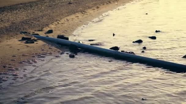 Desde la zona de la playa hasta el mar, se muestra una tubería de alcantarillado. complejo hotelero trajo sus aguas residuales al mar. contaminación del mar, del medio ambiente . — Vídeo de stock