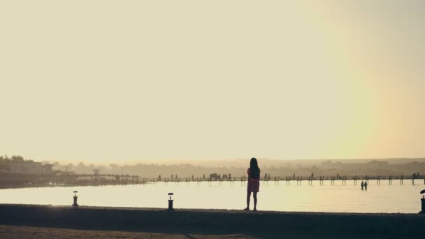 夏天日落时分，在海湾里，一个十几岁的女孩沿着堤岸散步。橙色的日落和孩子，海滩上的棕榈树的轮廓 — 图库视频影像