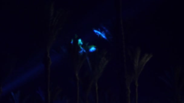 Νύχτα, οι ακτίνες φωτός κινούνται κατά μήκος των περιγραμμάτων των φοινίκων. νυχτερινό ντίσκο σε εξωτερικούς χώρους — Αρχείο Βίντεο