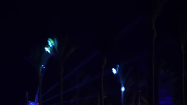 Nuit, les rayons lumineux se déplacent le long des contours des palmiers. discothèque de nuit en plein air — Video