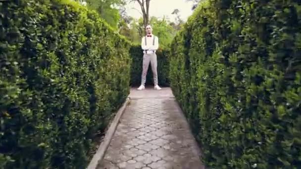 Among the beautifully cropped bushes in the park, a young man in a white shirt, trousers, stylish suspenders and bow tie stands and smiles a little. — Stock Video