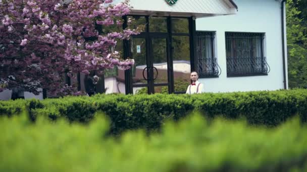Stylowy młody facet w białej koszulce, szelki i czerwona Bowtie stoi w pobliżu kwitnących Sakura, fale rękę. wiosenny słoneczny dzień. Ślub. — Wideo stockowe