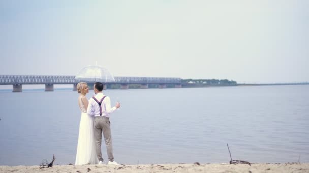 若い美しい新婚旅行は、ビーチに立って、シャンパンのガラスと透明な傘の下で、青い空、川、川の上に大きな橋に対して。春の晴れた日。結婚式 — ストック動画