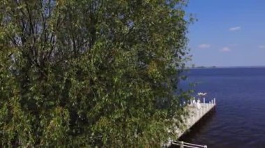 aero, güzel çift yeni evliler güzel iskelede yürüyor, damat elinde balonları tutar, birbirlerine bakmak, gülümseyerek, mavi deniz ve gökyüzüne karşı. yaz güneşli gün. Düğün