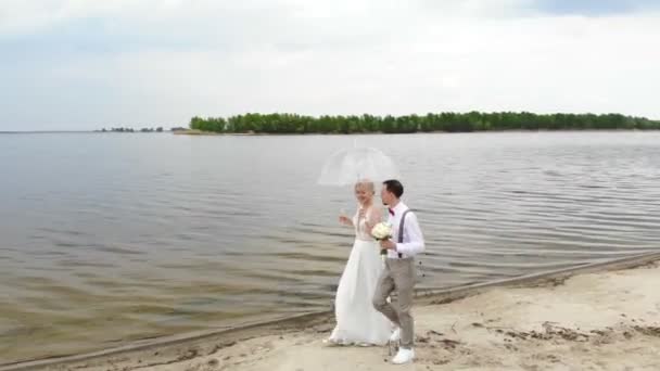 Aero, hermosos recién casados caminando por la playa, bajo un paraguas transparente, contra el cielo azul, el río, y un gran puente sobre el río. Primavera soleada y un poco lluvioso día. boda — Vídeos de Stock