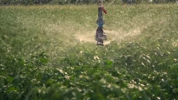 Крупним планом, спеціальна система зрошення збризає воду над зеленими картопляними кущами. Падіння дощової води, розбризкування літають над зеленим листям. вирощування і полив картоплі на сільськогосподарських полях — стокове відео
