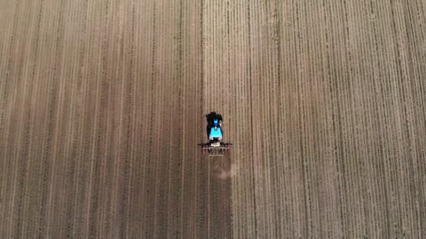 Aéro, vue de dessus. gros tracteur parcourt le champ avec un jeune maïs. le processus de transformation inter-rangs des cultures de maïs. Au coucher du soleil. Printemps . — Video