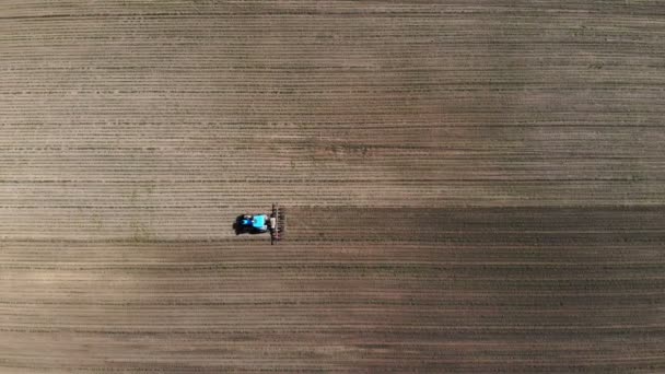 Aéro, vue de dessus. gros tracteur parcourt le champ avec un jeune maïs. le processus de transformation inter-rangs des cultures de maïs. Au coucher du soleil. Printemps . — Video