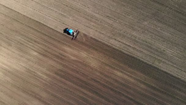 Aero, вид зверху. великий трактор їде через поле з молодою кукурудзи. процес міжрядної обробки зернових культур. На заході сонця. Весна. — стокове відео