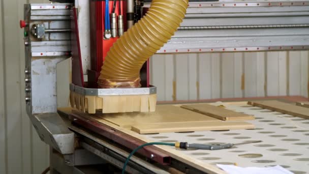 Herstellung von Möbeln, Fassaden aus MDF und Holz. Spezialmaschine schneidet Fassaden aus MDF-Platten. mdf Details. Möbelfabrik. Fräs- und Sägemaschine für die Holzbearbeitung — Stockvideo