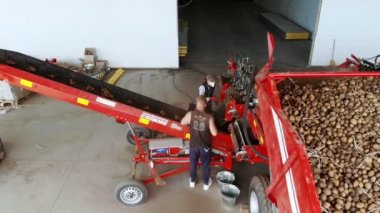 Cherkasy, Ukrayna, 20 Eylül 2019: tarımsal işletmede patates ayıklama, çiftlik. patates konveyör ekipmanları üzerinde özel bantlar üzerinde hareket eder. İşçiler patatesleri topraktan ve lahanadan soyarlar. Patates