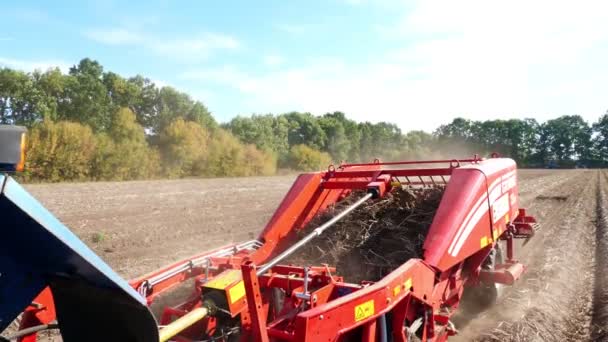 Zbliżenie, bulwy ziemniaczane poruszają się na specjalnej taśmie maszynowych, specjalny ciągnik wykopuje ziemniaki i wylewa go do tylnej części ciężarówki. połowów ziemniaków na polu rolnym. Jesień. — Wideo stockowe