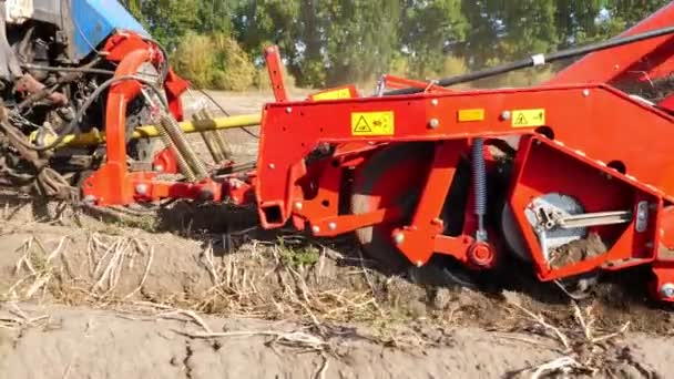 Közelről, különleges traktor ás fel burgonyát. a burgonya betakarítása mezőgazdasági területen. Kora ősz. — Stock videók