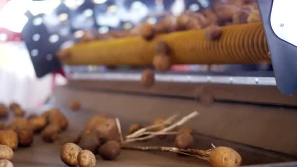 Närbild, potatis flytta på särskilda transportband maskineri bälte. potatis skörd, gröda — Stockvideo