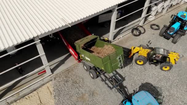 CHERKASY, UCRANIA, 20 DE SEPTIEMBRE DE 2019: cosecha de patatas, proceso de clasificación de patatas en la empresa agrícola, granja. movimientos de la patata en las bandas especiales en el equipo de transporte. Trabajadores pelan patatas de — Vídeos de Stock