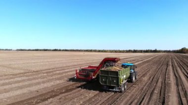 Süper manzara, Aero. Patates hasadı sırasında tarlada makineler kullanmak. Patates toplama makinesi kazıyor, patates topluyor, kamyonun arkasına ekin boşaltıyor. ılık sonbahar günü