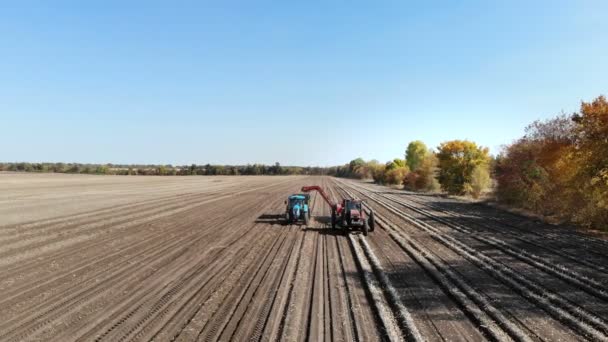 Het gebruik van machines op het landbouwbedrijf tijdens het oogsten van aardappelen. Aardappel plukken machine graaft en plukt aardappelen, het uitladen van het gewas in de achterkant van een vrachtwagen. warme herfstdag — Stockvideo