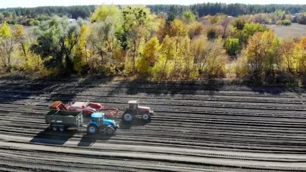 Gépek használata a szántóföldön a burgonya betakarítása során. Burgonyaszedés gép ássa és szedi a burgonyát, kirakodás a termést a hátsó teherautó. meleg őszi nap — Stock videók