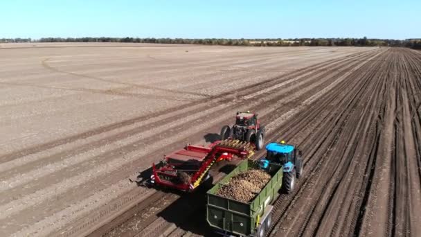 Vista superior, aero. Utilización de maquinaria en el campo agrícola durante la cosecha de la patata. La máquina recolectora de papas cava y recoge papas, descargando la cosecha en la parte trasera del camión. cálido día de otoño — Vídeo de stock