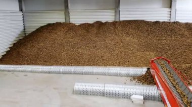 Cherkasy, Ukrayna, 1 Ekim 2019, Modern Patates deposu. Patatesleri nakil bandıyla depoya taşıma işlemi. Çiftçilik, patates hasadı