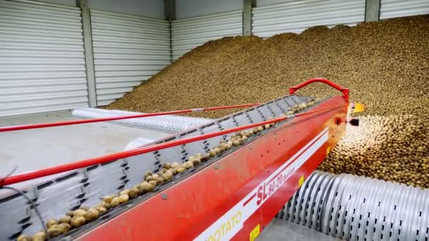 CHERKASY, UCRANIA, 1 DE OCTUBRE DE 2019: Almacén moderno de almacenamiento de patatas. proceso automatizado de transporte de patatas al almacén mediante cinta transportadora. agricultura, cosecha de patatas — Vídeos de Stock