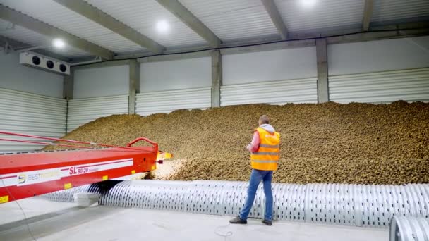 CHERKASY, UKRAINE, 1er OCTOBRE 2019 : L'employé surveille le processus automatisé de transport des pommes de terre vers un entrepôt par courroie transporteuse. récolte de pommes de terre, agriculture — Video