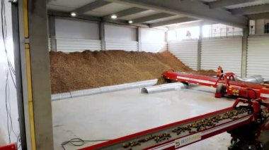 Cherkasy, Ukrayna, 1 Ekim 2019: Çalışanlar, patatesleri taşıma bandıyla bir depoya taşıma işlemini izliyorlar. Patates hasadı, tarım.