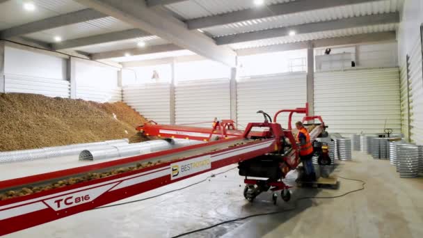 CHERKASY, UKRAINE, OCTOBER 1, 2019: Employees sort potatoes on conveyor machinery belt, before putting it into storage room, warehouse for winter storage. potato harvest. agricultural enterprise, farm — Stock Video