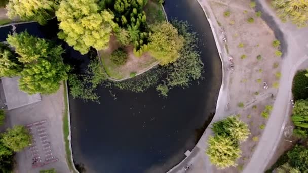 Aero, bovenaanzicht. groene bomen, wandelpaden en een meer midden in een stadspark in de zomer. — Stockvideo