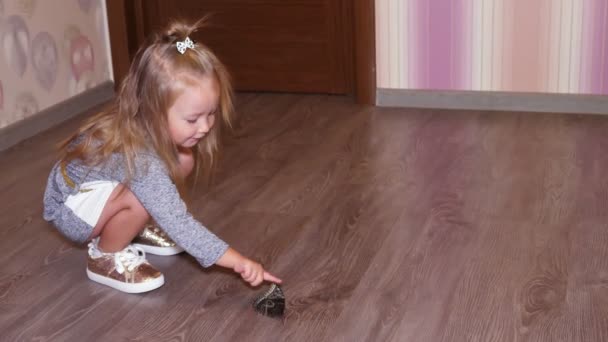Uma menina, criança tocar uma grande borboleta tropical viva, examiná-lo dentro de casa, no apartamento. a Ulysses Swallowtail Papilio ulysses é uma grande borboleta de cauda de andorinha da Australásia . — Vídeo de Stock