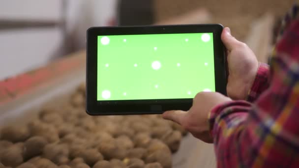 Gros plan, agriculteur tient tablette numérique avec écran vert dans ses mains, sur fond de pommes de terre se déplaçant sur bande transporteuse, en entrepôt. agriculture, industrie alimentaire, récolte de pommes de terre . — Video