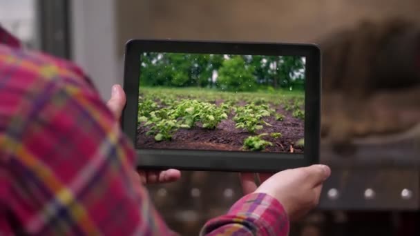 Gros plan, agriculteur tient tablette numérique dans les mains sur le fond de l'entrepôt de stockage de pommes de terre. Il montre le système d'irrigation des champs de pommes de terre. agriculture, industrie alimentaire, récolte . — Video