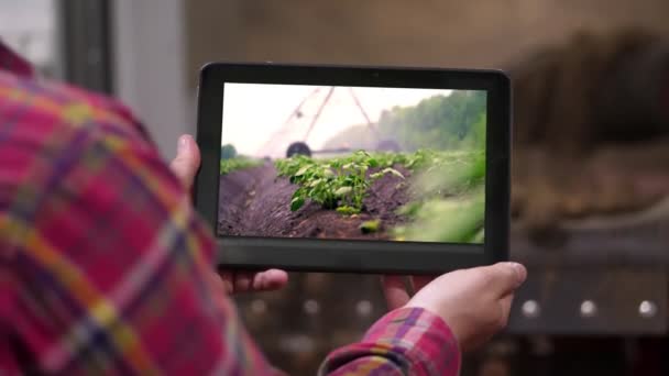 Gros plan, agriculteur tient tablette numérique dans les mains sur le fond de l'entrepôt de stockage de pommes de terre. Il montre le système d'irrigation des champs de pommes de terre. agriculture, industrie alimentaire, récolte . — Video