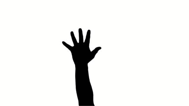 Close-up, mans spread fingers, palm, hand gesture, black silhouette on white background. Concept of protest art, struggle symbol, hope for help, fighting for rights — Stock Video