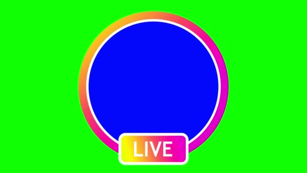 On a green background, a bright pink round frame, with the inscription below- LIVE. inside frame blue background. — Stock Video