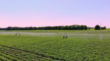 Havacılık. Sulama, sulama sistemi, patates tarlasında. Çiftçilikte modern teknolojiler. Tarım. Yaz güneşli bir gün