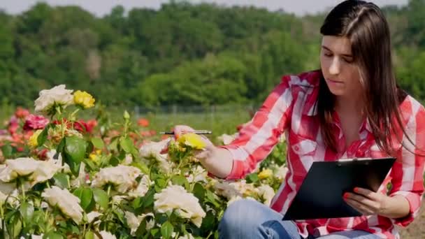 Femme jardinier vérifie la qualité des fleurs et prend des notes avec un stylo dans un carnet, marchant le long des rosiers sur un champ de fleurs. rose en croissance. floriculture, concept de jardinage. horticulture. — Video