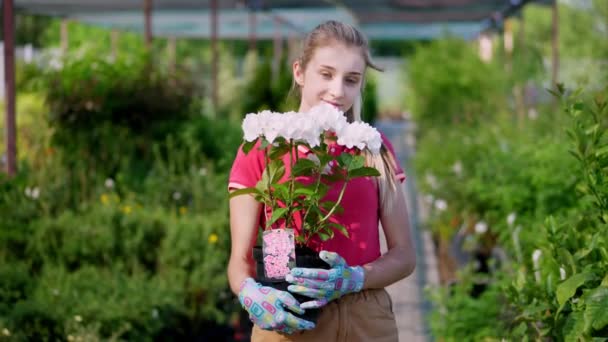 Retrato, jovem jardineira segurando hortênsia florescendo branco em vaso de flores em suas mãos, contra fundo de estufa, variedade de centro de jardim . — Vídeo de Stock
