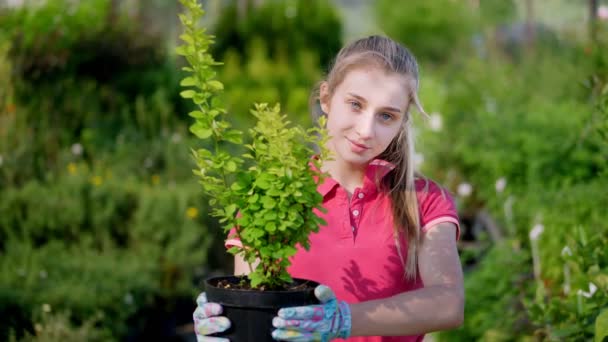 ポートレート、若い女性の庭師は、温室、庭の中心部の植物の背景を背景に、植木鉢に小さな果実を手に持っています。花卉園芸花ビジネス園芸. — ストック動画