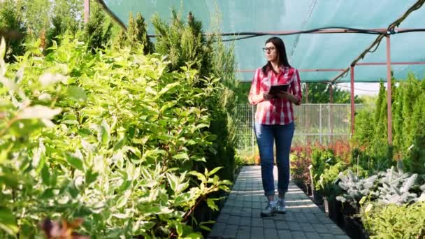 Žena zahradník kontroluje kvalitu rostlin, dělá si poznámky na digitální tablet, procházky po zahradním centru nebo skleníku. pěstování a péče o rostliny. květinářství, zahradnictví, zahradnictví, květinářství. — Stock video