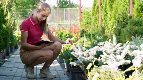 Žena zahradník kontroluje kvalitu rostlin, dělá si poznámky na digitální tablet, procházky po zahradním centru nebo skleníku. pěstování a péče o rostliny. květinářství, zahradnictví, zahradnictví, květinářství. — Stock video