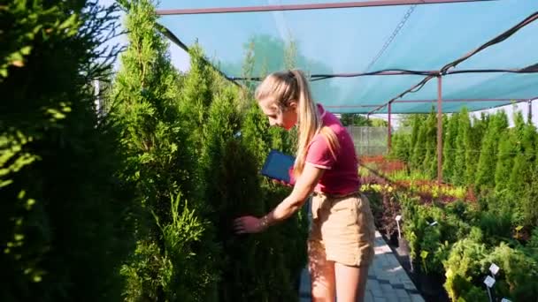 Jardineiro feminino verifica a qualidade das plantas, toma notas em tablet digital, andando ao longo do centro do jardim ou estufa. crescer e cuidar das plantas. floricultura, jardinagem, horticultura, floricultura. — Vídeo de Stock