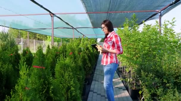 Kvinnlig trädgårdsmästare kontrollerar kvaliteten på växter, antecknar på digital surfplatta, promenader längs trädgårdscentrum eller växthus. odling och skötsel av växter. blomsterhandel, trädgårdsskötsel, trädgårdsskötsel, blomsterhandel. — Stockvideo