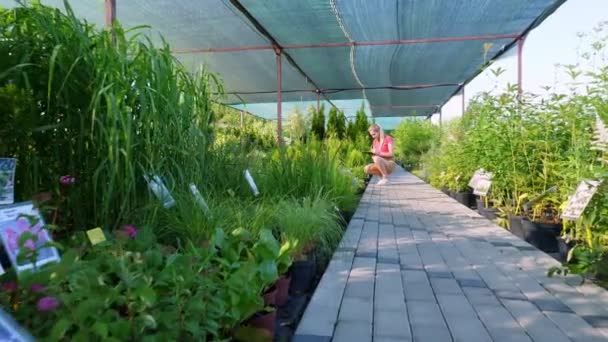 O jardineiro feminino verifica a qualidade de fábricas, toma notas com a caneta no caderno, no centro de jardim ou estufa. crescer e cuidar das plantas. floricultura, jardinagem, horticultura, floricultura . — Vídeo de Stock