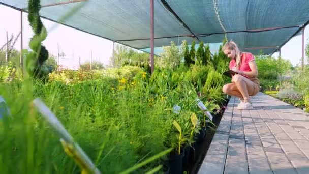Kvinnlig trädgårdsmästare kontrollerar kvaliteten på växter, antecknar med penna i anteckningsbok, i trädgården centrum eller växthus. odling och skötsel av växter. blomsterhandel, trädgårdsskötsel, trädgårdsskötsel, blomsterhandel. — Stockvideo