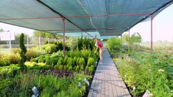 Il giardiniere femminile controlla la qualità di impianti, prende appunti con penna in notebook, in centro di giardino o serra. crescere e prendersi cura delle piante. floristica, giardinaggio, orticoltura, floricoltura. — Video Stock