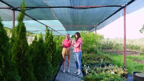 Koper en bloemist hebben een vriendelijk gesprek in de bloemenkas markt. Vrouw die planten kiest om te kopen in de tuin winkel. zaken doen en winkelen. bloemisten, tuinieren. — Stockvideo